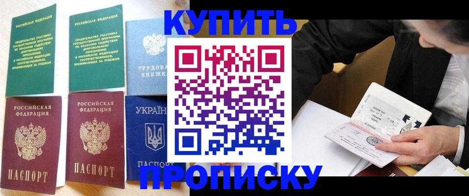 прописка для школы в Пушкино
